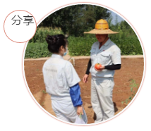 采摘幸福果實(shí)，分享收獲喜悅